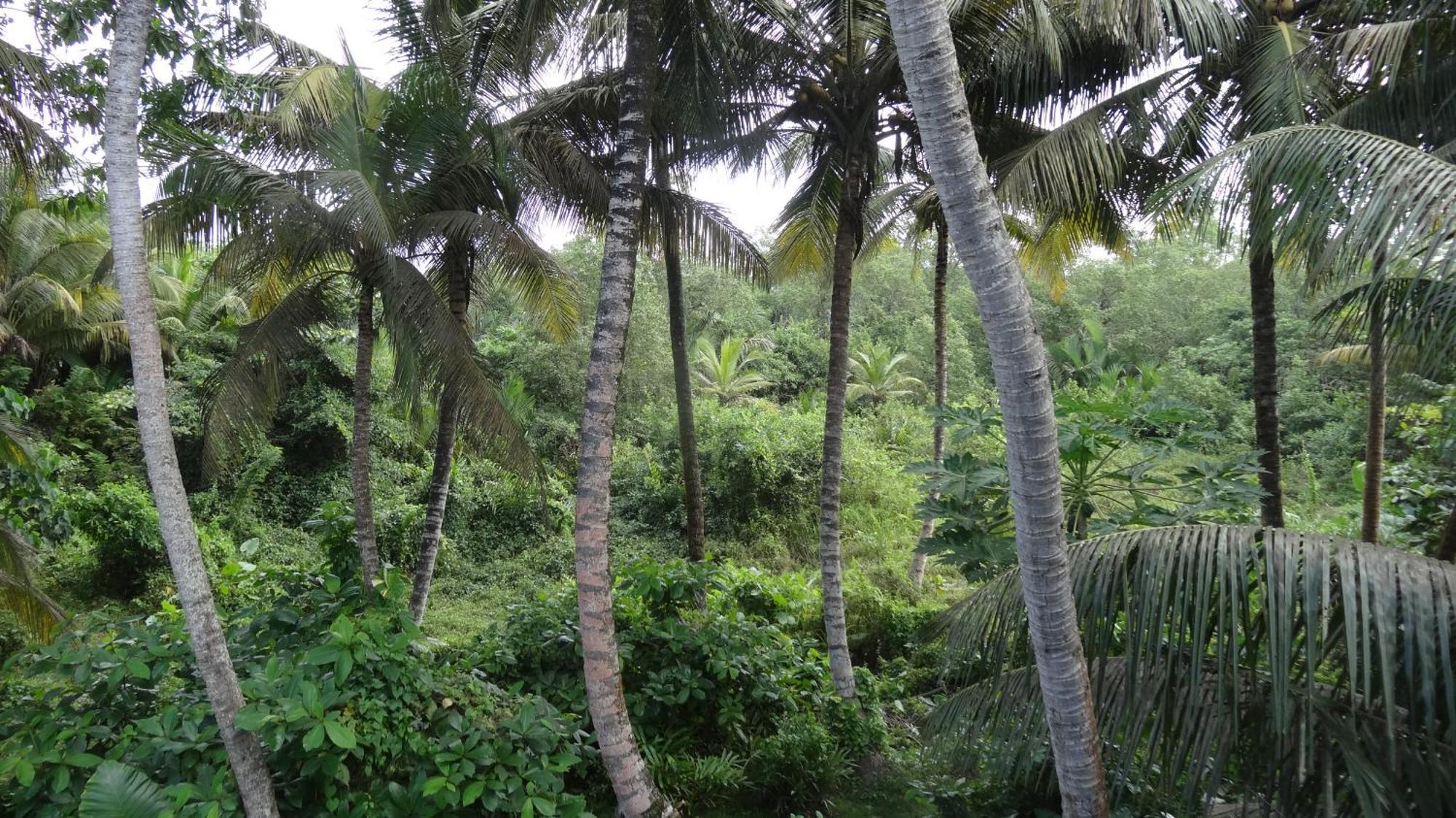 Ranil Villa Galle Exterior photo